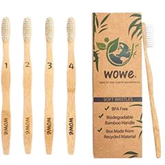 eco-friendly biodegradable toothbrush