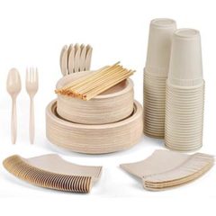 350-pc-disposable-compostable-picnic set