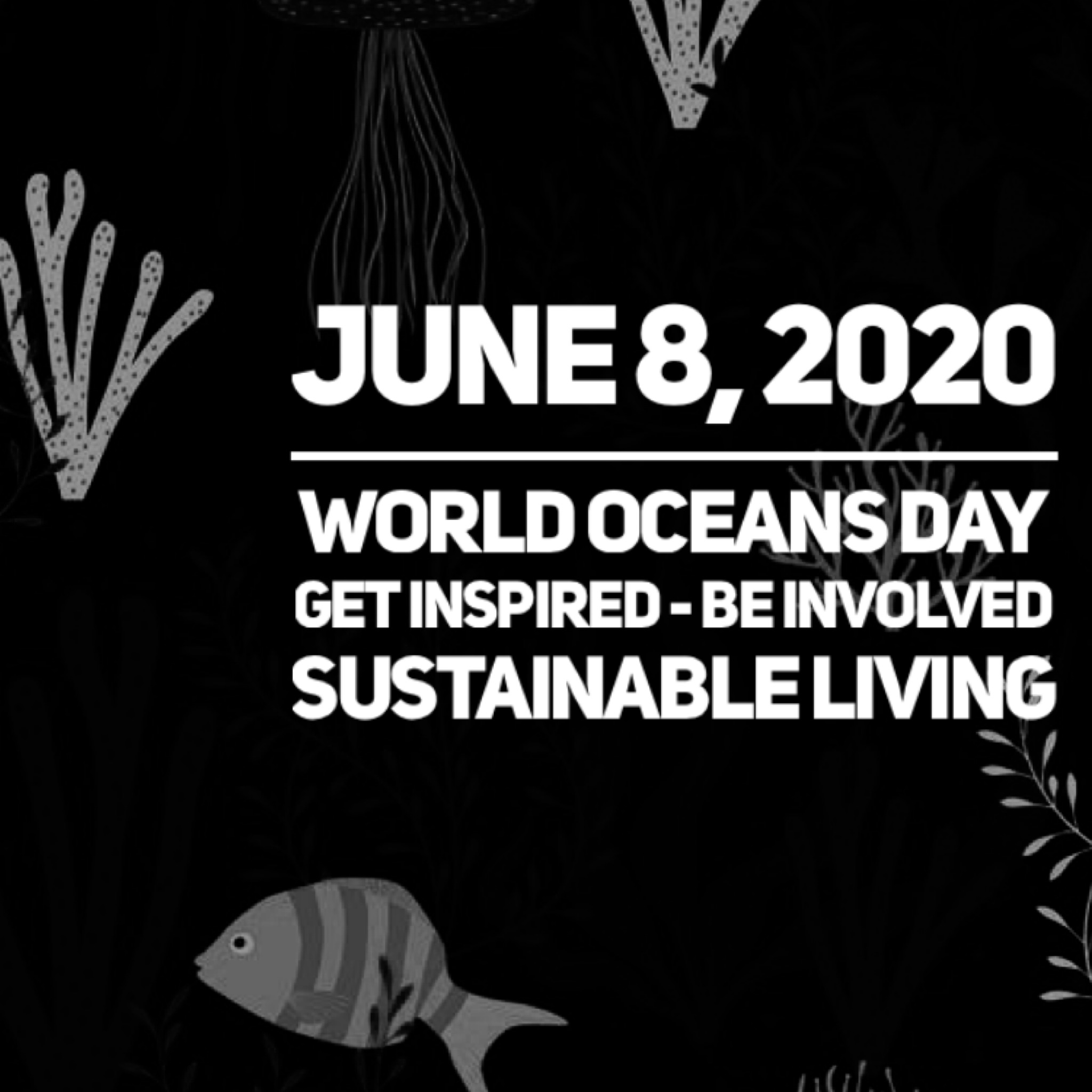 World Oceans DAY SHOP AT BIG LIVE WORLD PLASTIC FREE ITEMS