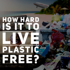 witte article big live world how hard is it to live plastic free?